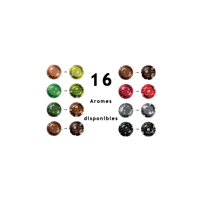 Capsules Nespresso PRO par 300